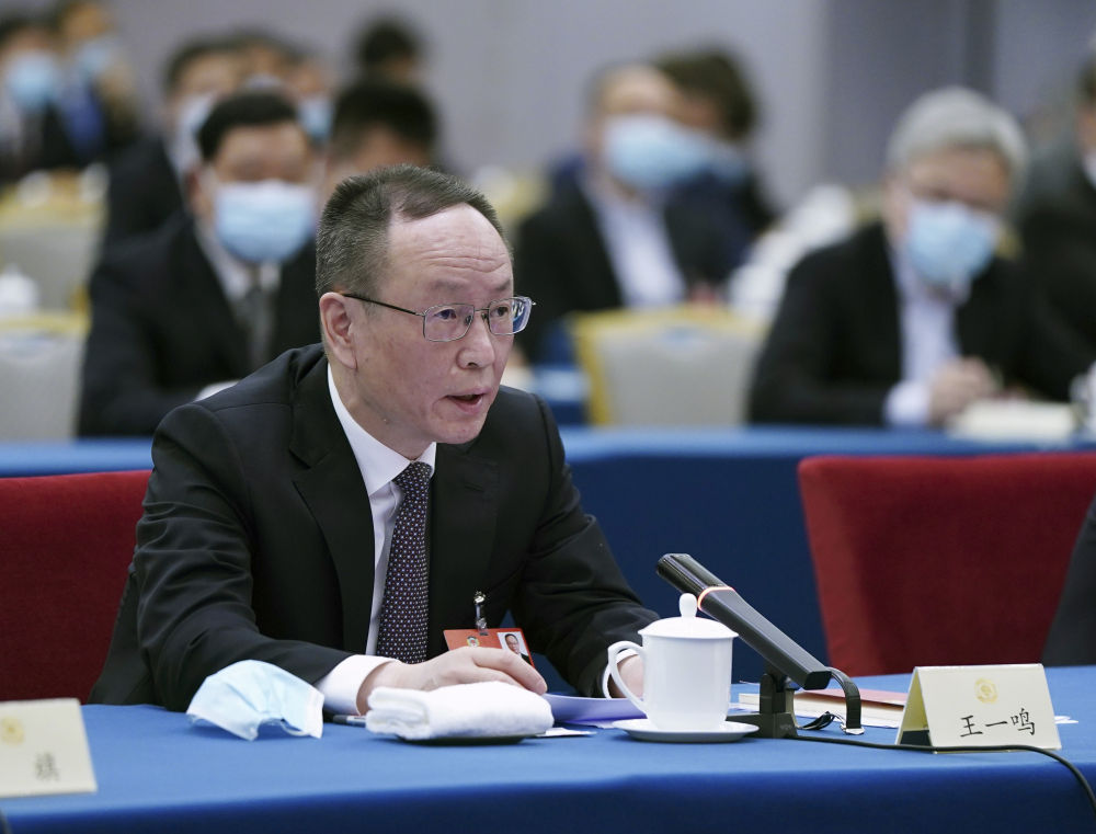 5月23日，全國政協(xié)委員王一鳴在經(jīng)濟界聯(lián)組會上發(fā)言。新華社記者　謝環(huán)馳　攝